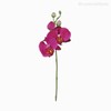 Thumb 1 do produto Orquídea Phalaenopsis (P) - BT Artificial - Rosa Escuro (9772)