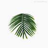 Thumb 4 do produto Galho Folha Acrea Palmeira M Artificial - Verde Escuro (11145)