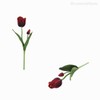 Thumb 4 do produto Galho Tulipa Artificial - Vermelho (10845)