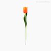 Thumb 1 do produto Tulipa Plástico - Laranja (9227)