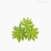 Thumb 3 do produto Suculento Artificial - Verde (10588)