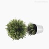 Thumb 3 do produto Topiaria Artificial - Verde Escuro (7700)