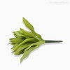 Thumb 2 do produto Planta Agave Artificial - Verde (9551)