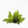 Thumb 3 do produto Planta Agave Artificial - Verde (9551)