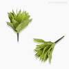 Thumb 4 do produto Planta Agave Artificial - Verde (9551)