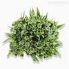 Thumb 3 do produto Pick Mini Flor Com Pó Artificial - Verde (9968)