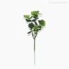 Thumb 2 do produto Pick Eucalyptus Com Pó Artificial - Verde (9956)
