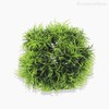 Thumb 3 do produto Mini Galho Pick Springeri Artificial - Verde (9967)