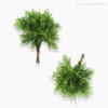 Thumb 4 do produto Pick Waterweed Artificial - Verde (9715)