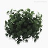 Thumb 3 do produto Pick Minishell Grass Artificial - Verde Escuro (9547)