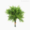 Thumb 1 do produto Pick Waterweed Artificial - Verde (9715)