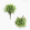 Thumb 4 do produto Pick Waterweed Com Pó Artificial - Verde Claro (9704)