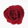 Thumb 1 do produto Rosa Flutuante Artificial 5' - Vermelho (9371)