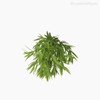 Thumb 3 do produto Mini Galho Herbes Pick Artificial - Verde (10826)