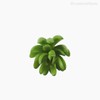 Thumb 3 do produto Suculento Artificial - Verde (10811)