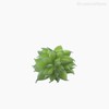 Thumb 3 do produto Mini Suculento Artificial - Verde (10815)