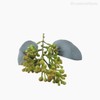 Thumb 3 do produto Mini Folhagem Eucaliptus Fruit Pick Artificial - Verde (10804)