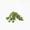 Thumb 4 do produto Mini Galho Eucalyptus Pick Artificial - Verde (10825)