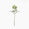 Thumb 1 do produto Mini Folhagem Eucaliptus Fruit Pick Artificial - Verde (10804)