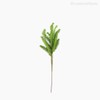 Thumb 1 do produto Mini Folhagem Pine Pick Artificial - Verde (10805)