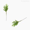 Thumb 4 do produto Mini Folhagem Pine Pick Artificial - Verde (10805)
