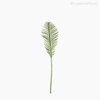 Thumb 1 do produto Galho Phoenix Palmeira Artificial - Verde (10189)