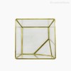 Thumb 5 do produto Terrário Cubo G - Transparente (10904)
