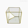 Thumb 2 do produto Terrário Cubo G - Transparente (10904)