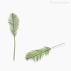 Thumb 3 do produto Galho Phoenix Palmeira Artificial - Verde (10189)