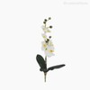 Thumb 1 do produto Orquídea Phalaenopsis Artificial - Branco (7725)