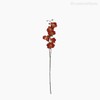 Thumb 1 do produto Orquídea Phalaenopsis Artificial - Vermelho (7723)