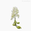 Thumb 4 do produto Orquídea Cymbidium Artificial - Branco (7285)