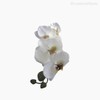 Thumb 3 do produto Orquídea Phalaenopsis Artificial - Branco (2843)