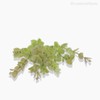 Thumb 4 do produto Galho Eucaliptus Artificial - Verde Claro (9926)