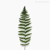 Thumb 2 do produto Galho Folhagem Fern Leaf Artificial - Verde (10039)
