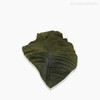 Thumb 3 do produto Folha Orelha Elefante Artificial - Verde Escuro (7216)
