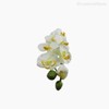 Thumb 3 do produto Orquídea Phalaenopsis Artificial - Branco (12678)