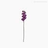 Thumb 1 do produto Orquídea Phalaenopsis Artificial - Roxo (12676)