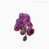 Thumb 3 do produto Orquídea Phalaenopsis Artificial - Roxo (12676)