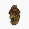 Thumb 4 do produto Galho Orquídea Outonal Artificial - Marrom Claro (12681)
