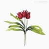 Thumb 1 do produto Buquê Mini Tulipa - Vermelho (10781)