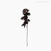 Thumb 1 do produto Galho Orquídea Outonal Artificial - Marrom Escuro (12680)