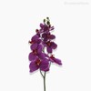 Thumb 2 do produto Orquídea Phalaenopsis Artificial - Roxo (12672)