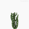 Thumb 3 do produto Cactus Artificial (11634)