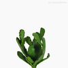 Thumb 4 do produto Suculento Aloe 28cm Artificial (11615)