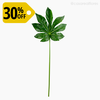 Thumb 1 do produto Galho Cannabis Artificial - Verde Escuro (11129-30)