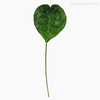 Thumb 1 do produto Anthurium Leaf Artificial - Verde (9876)