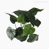 Thumb 3 do produto Mini Philo Planta Artificial - Verde (6481)