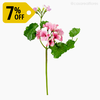 Thumb 1 do produto Geranium Artificial - Rosa (9874) BOX C/ 24