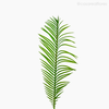 Thumb 2 do produto Galho Phoenix Palmeira Artificial - Verde (10189)